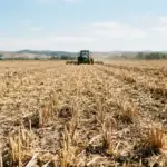 Comprendre la crise en Ukraine : résumé historique et enjeux